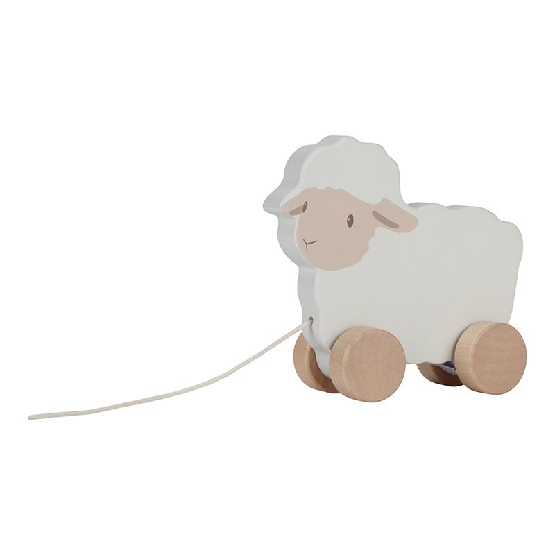 Zugtier Schaf  Zugtier Schaf