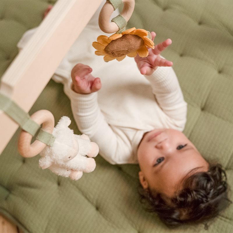 Baby gym Little Farm  Baby gym Little Farm