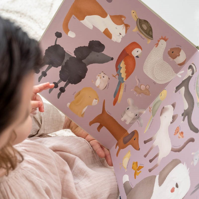 Children's book My First Animal Book  Children's book My First Animal Book