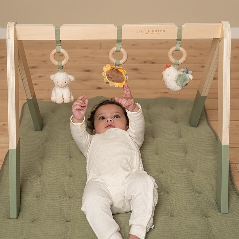 Baby gym Little Farm  Baby gym Little Farm
