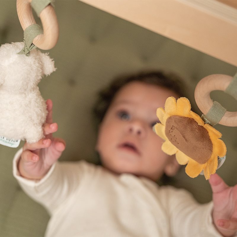 Baby gym Little Farm  Baby gym Little Farm