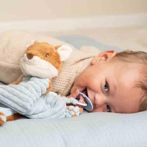 Cuddle cloth cuddle Fox - Forest Friends - Blue - Forest Friends  Cuddle cloth cuddle Fox - Forest Friends - Blue - Forest Friends