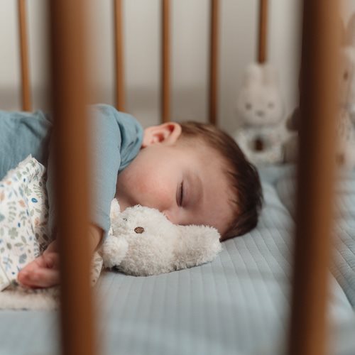 nijntje-geschenkdoos-lucky-leaves nijntje-geschenkdoos-lucky-leaves