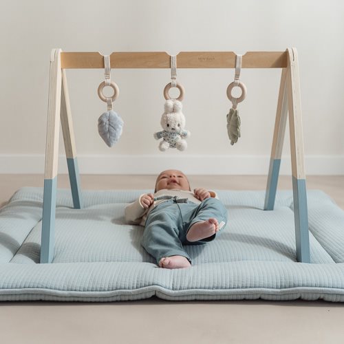 miffy baby gym - Blue - Lucky Leaves  miffy baby gym - Blue - Lucky Leaves