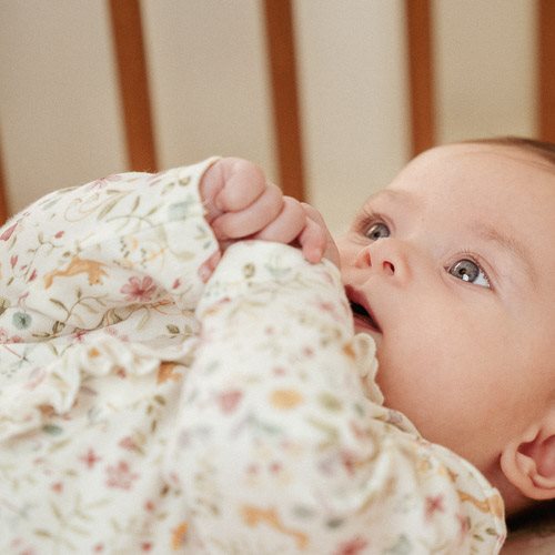 Boxpakje - Wit - Fairy Garden Boxpakje - Wit - Fairy Garden