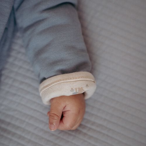 Veste réversible - Bleu - Forest Friends  Veste réversible - Bleu - Forest Friends