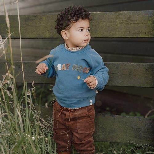 Ribbroek - Bruin - Little Farm Ribbroek - Bruin - Little Farm