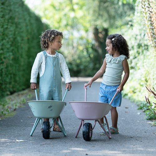 kruiwagen-fairy-garden kruiwagen-fairy-garden