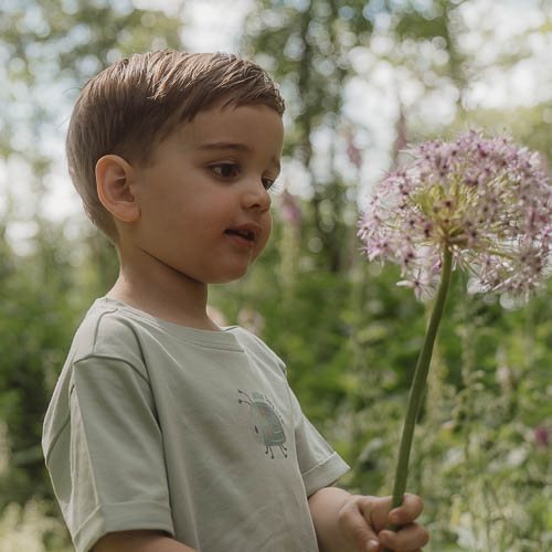 Shirt korte mouw - Groen - Forest Friends Shirt korte mouw - Groen - Forest Friends