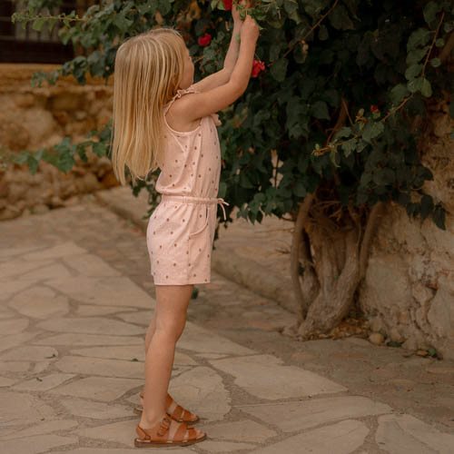 https://little-dutch.katanapim.com/content/images/thumbs/0024372_kort-tuinpak-lotus-86.jpeg https://little-dutch.katanapim.com/content/images/thumbs/0024372_kort-tuinpak-lotus-86.jpeg