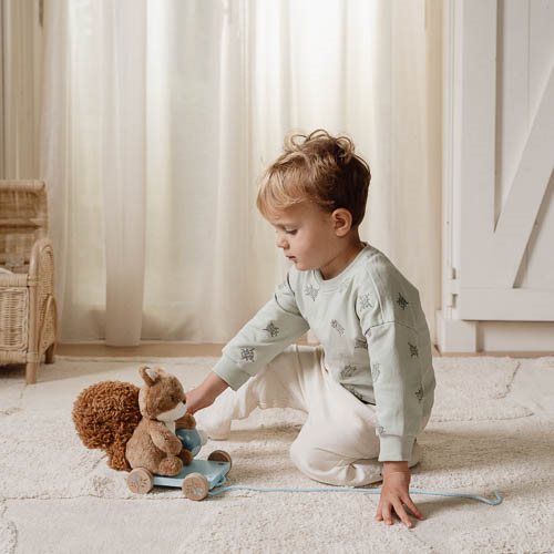 Pull Animal Squirrel - Blue - Forest Friends  Pull Animal Squirrel - Blue - Forest Friends