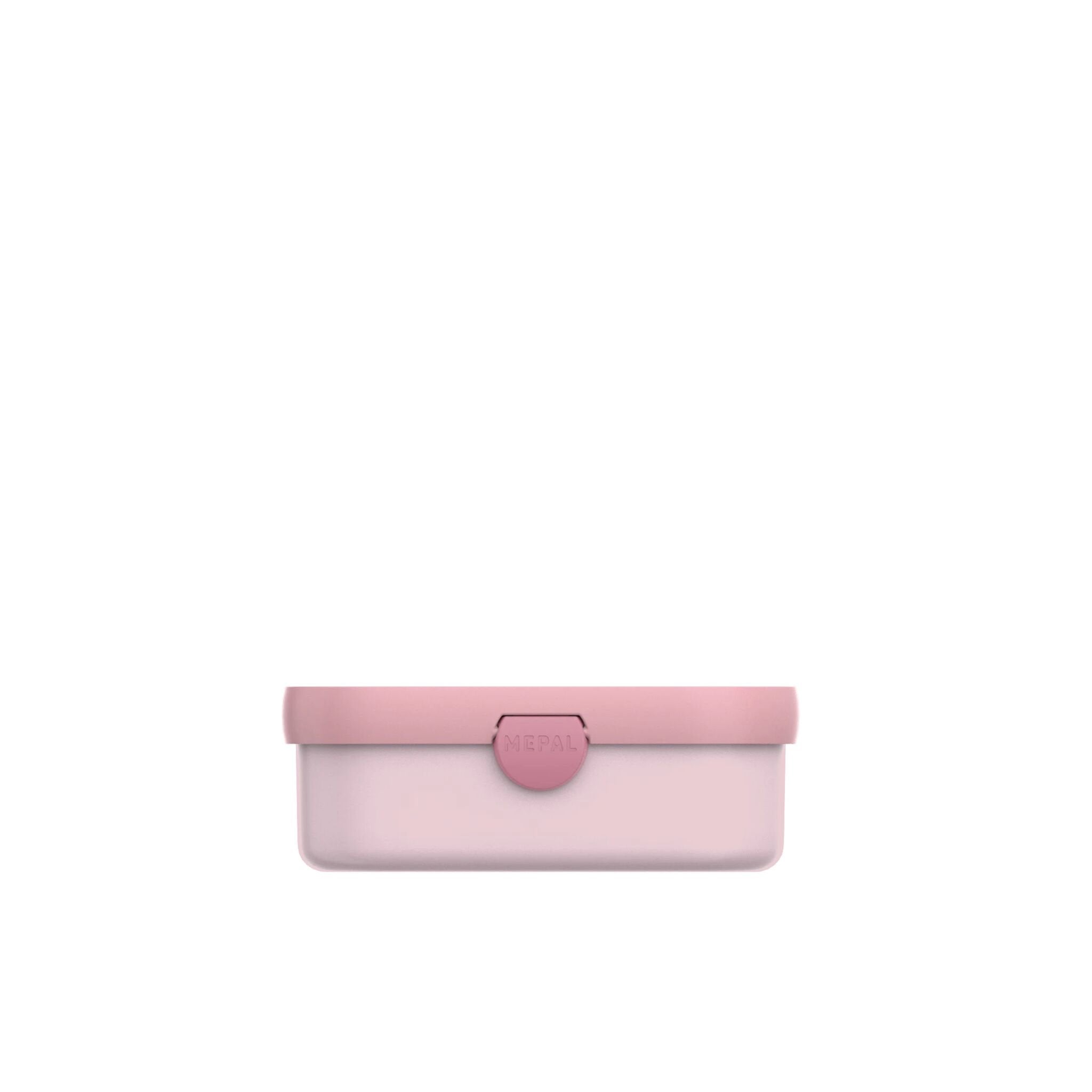 lunchbox-campus-fairy-garden lunchbox-campus-fairy-garden