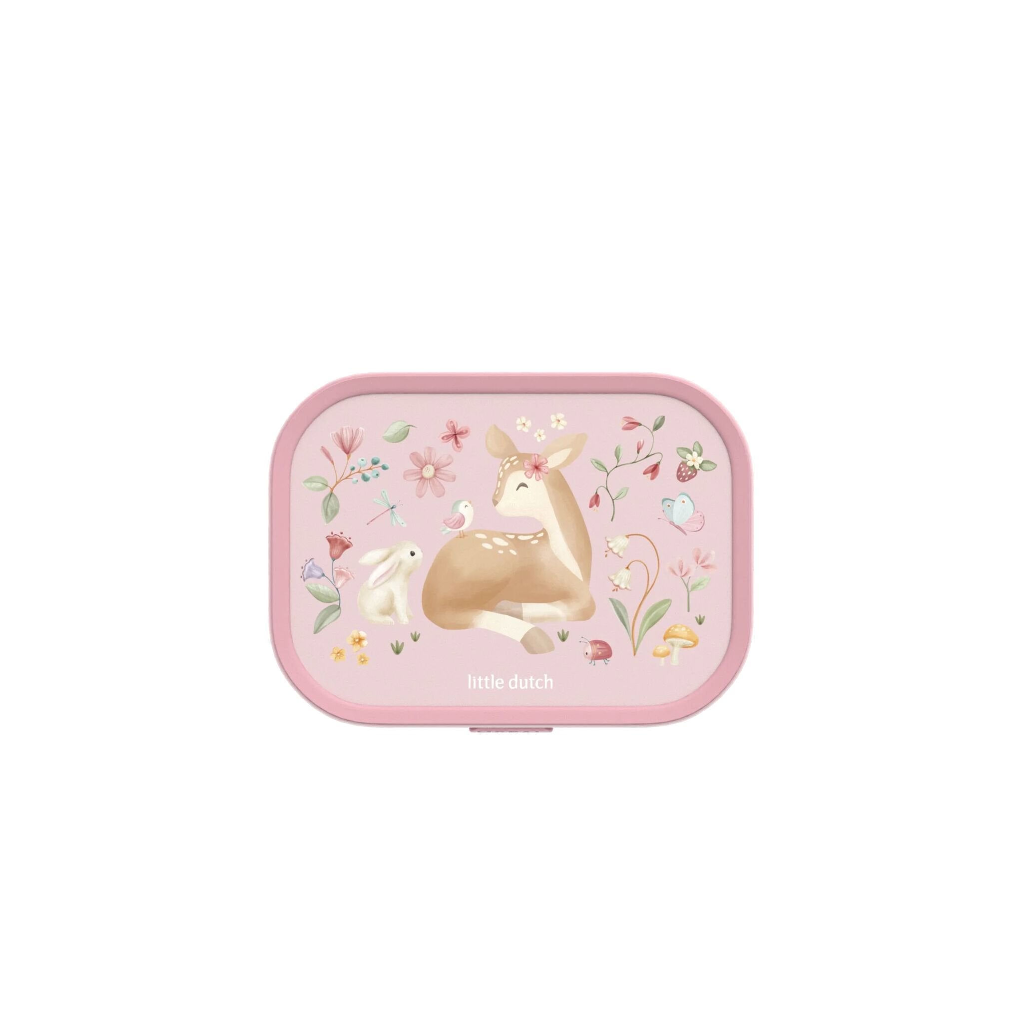 Lunchbox Fairy Garden Lunchbox Fairy Garden