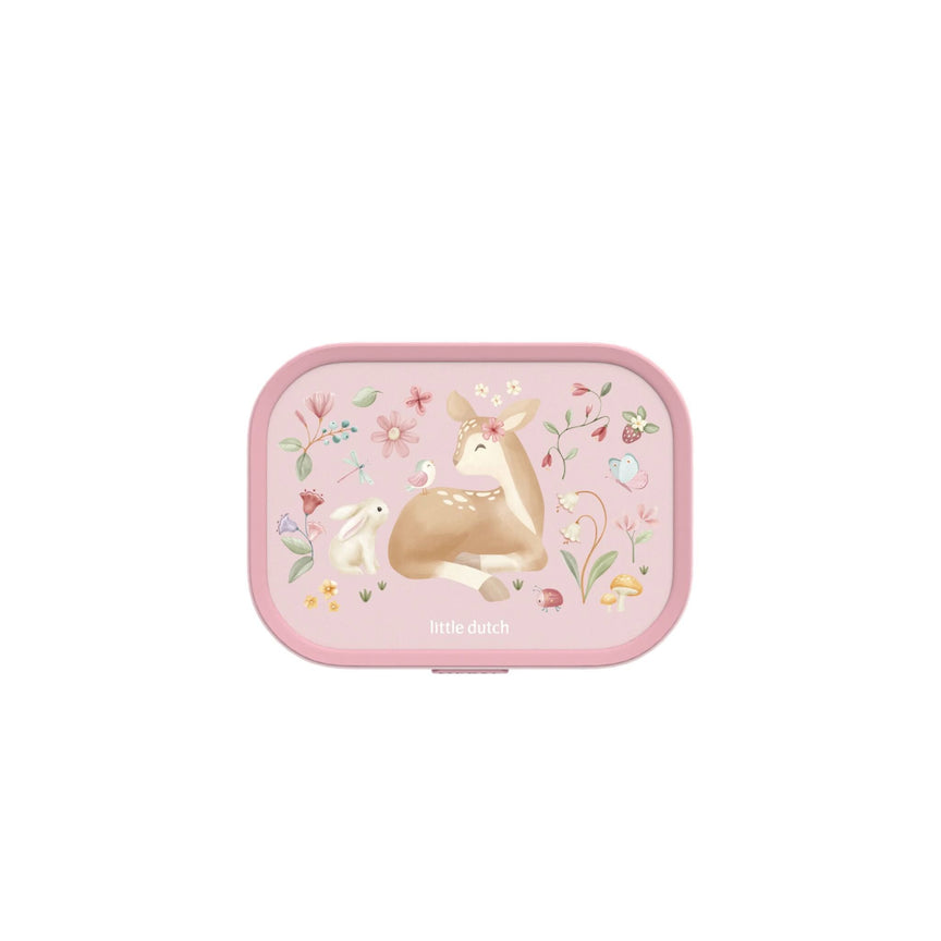 Lunchbox Fairy Garden  lunchbox-campus-fairy-garden