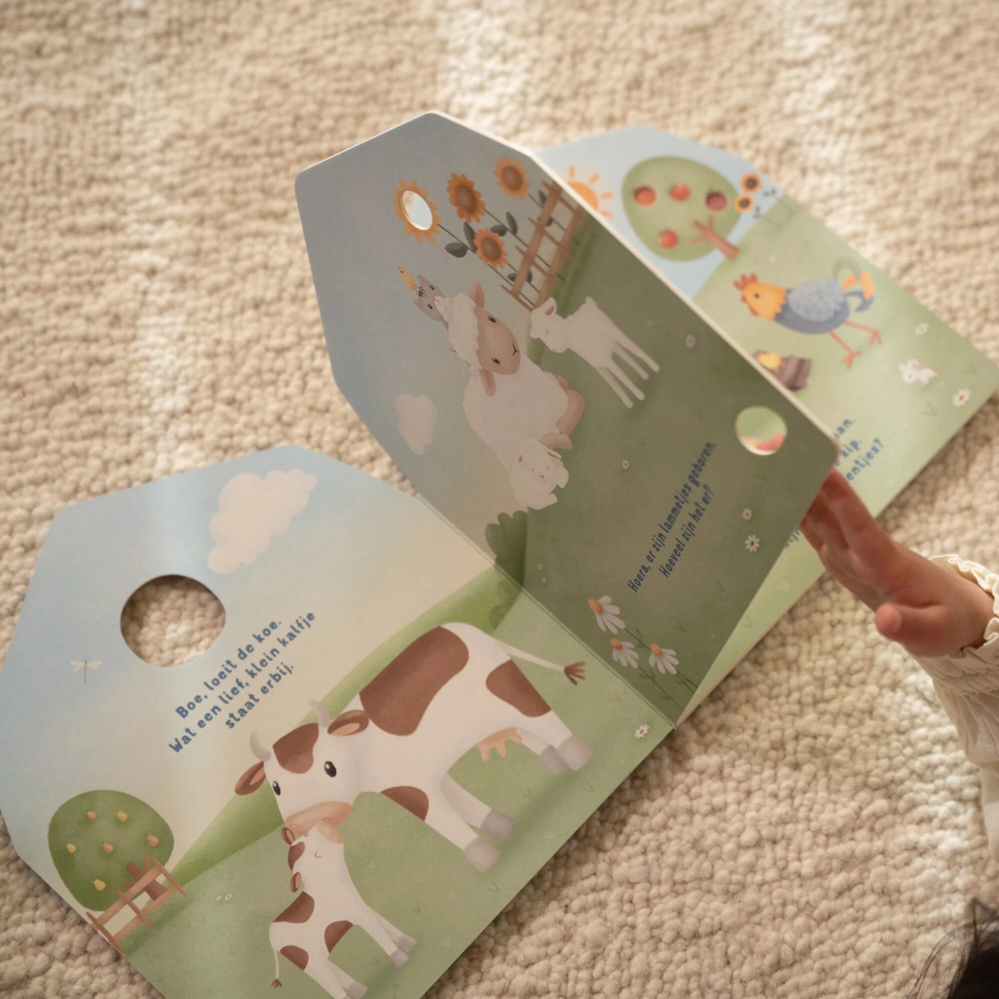 My See-Through Book - Farm  My See-Through Book - Farm