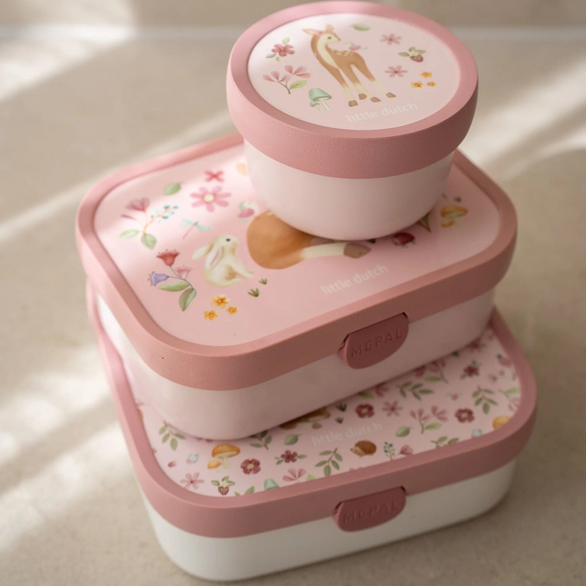bento-lunchbox-campus-groot-fairy-garden bento-lunchbox-campus-groot-fairy-garden