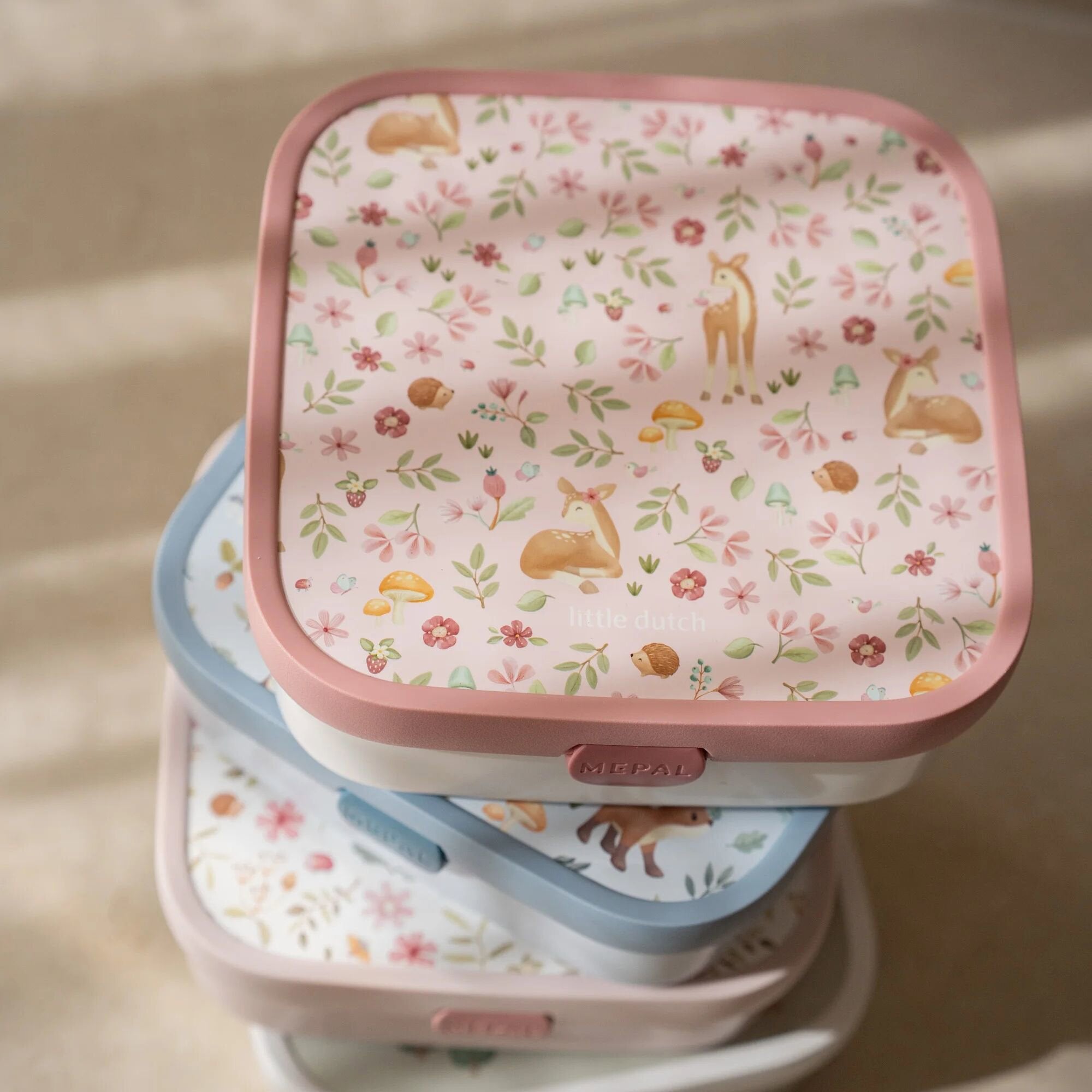 bento-lunchbox-campus-groot-fairy-garden bento-lunchbox-campus-groot-fairy-garden