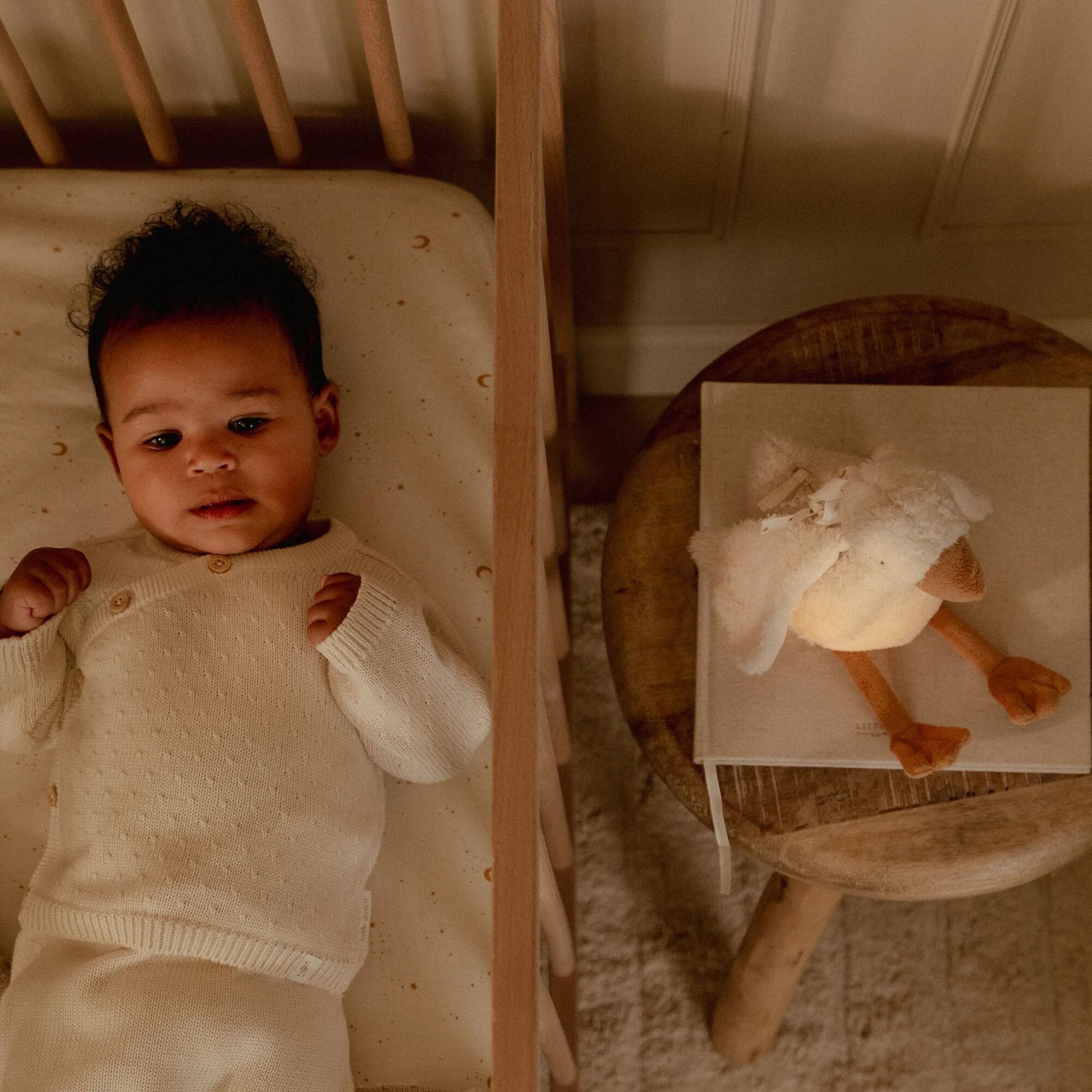 knuffelgans-licht-geluid knuffelgans-licht-geluid