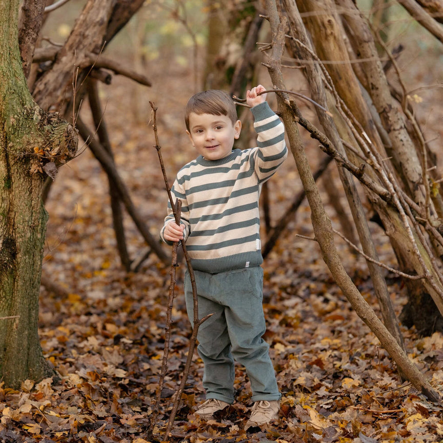 Pull tricoté - Vert - Forest Friends - Rayure  gebreide-trui-groen-forest-friends-stripe