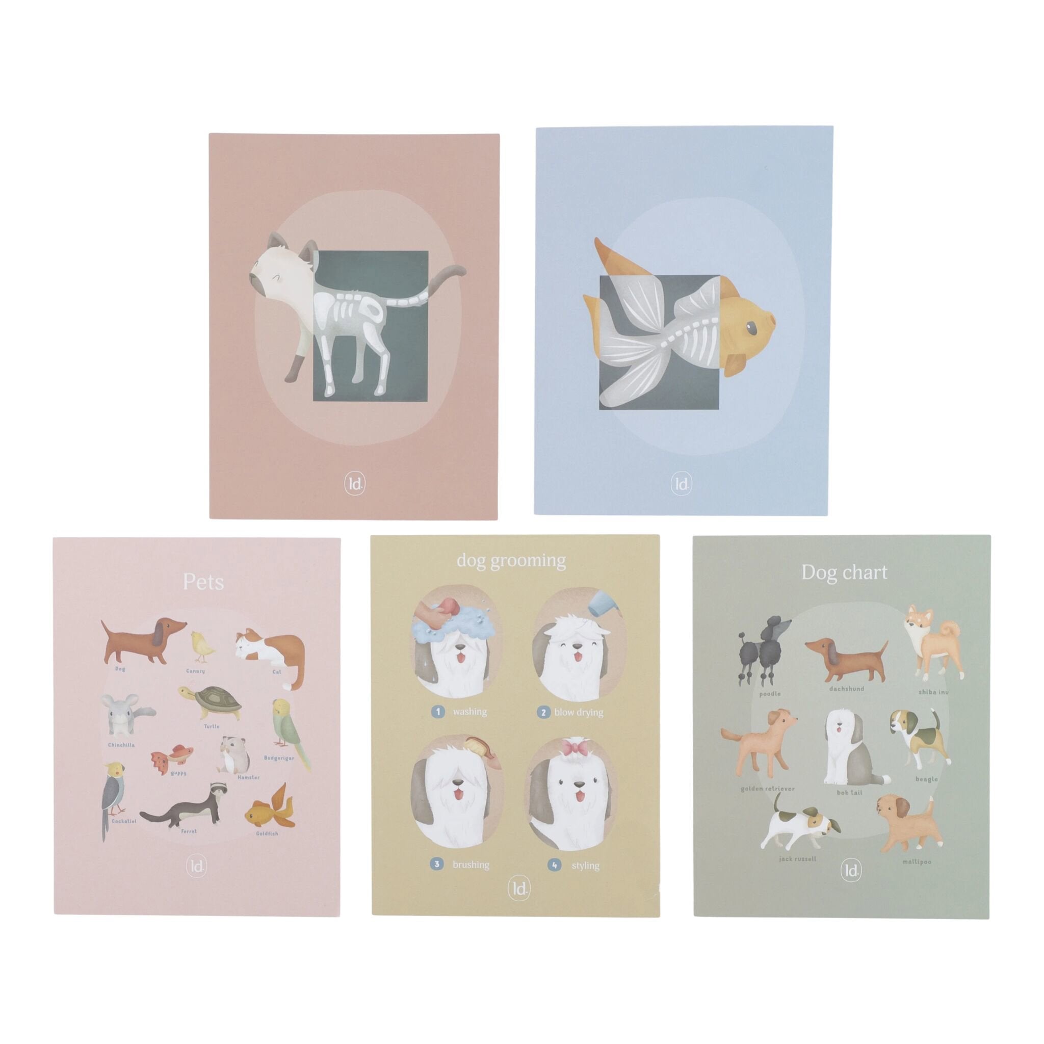 houten-dierenartspraktijk-met-medische-instrumenten houten-dierenartspraktijk-met-medische-instrumenten