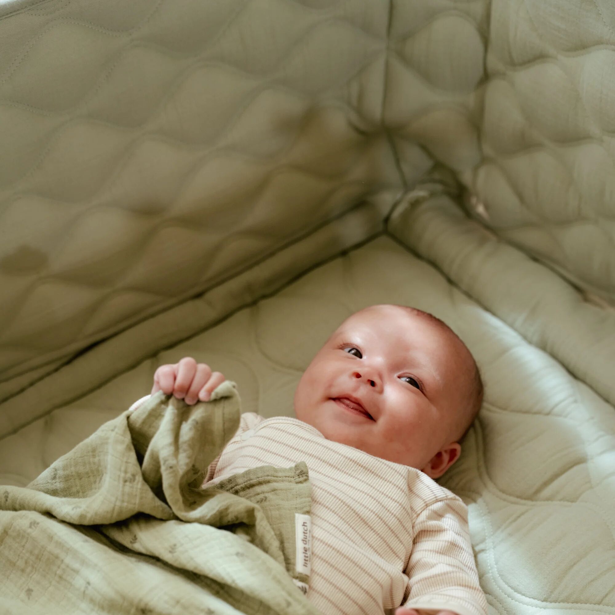 Box edge – Green – Essentials  Box edge – Green – Essentials