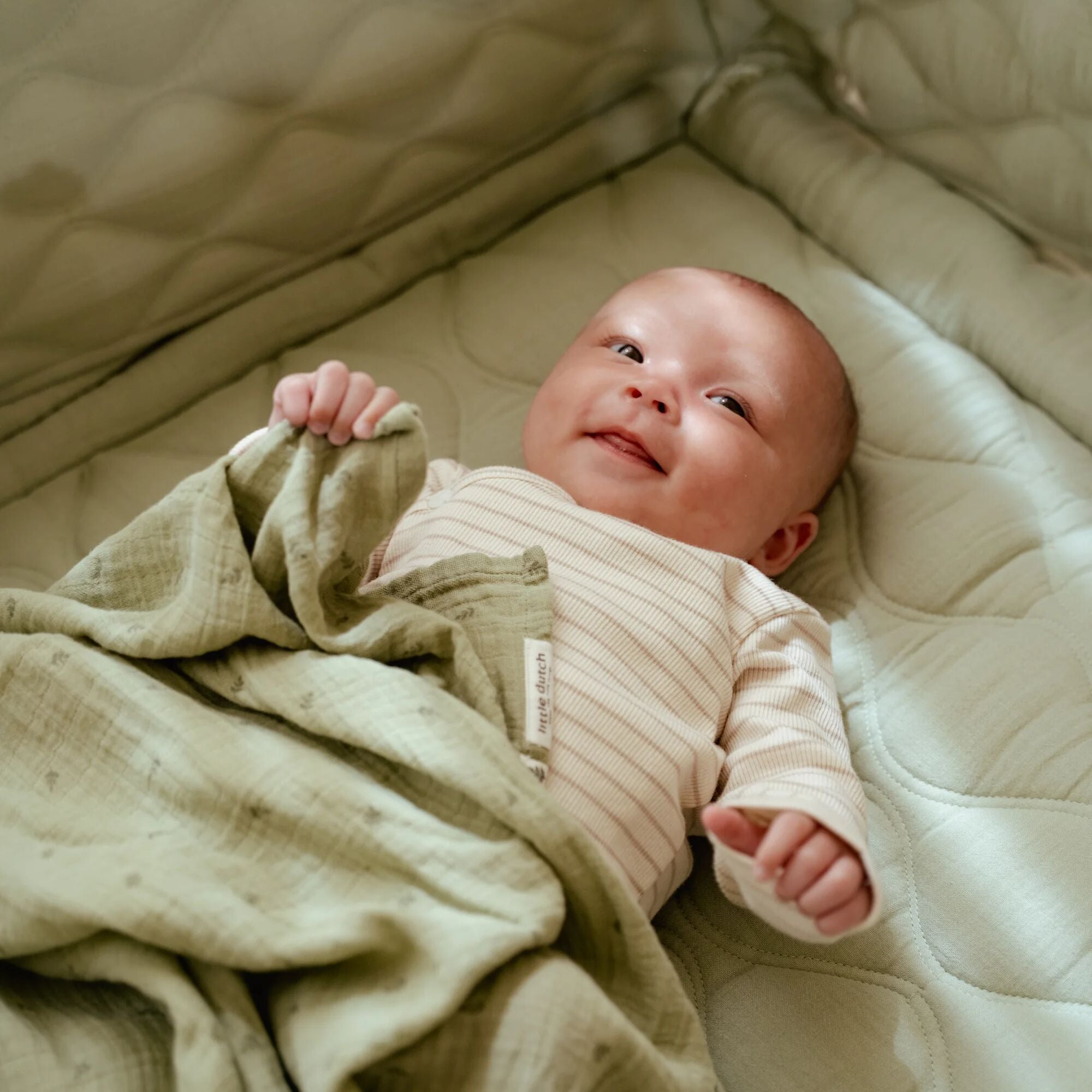 boxkleed-groen-essentials boxkleed-groen-essentials