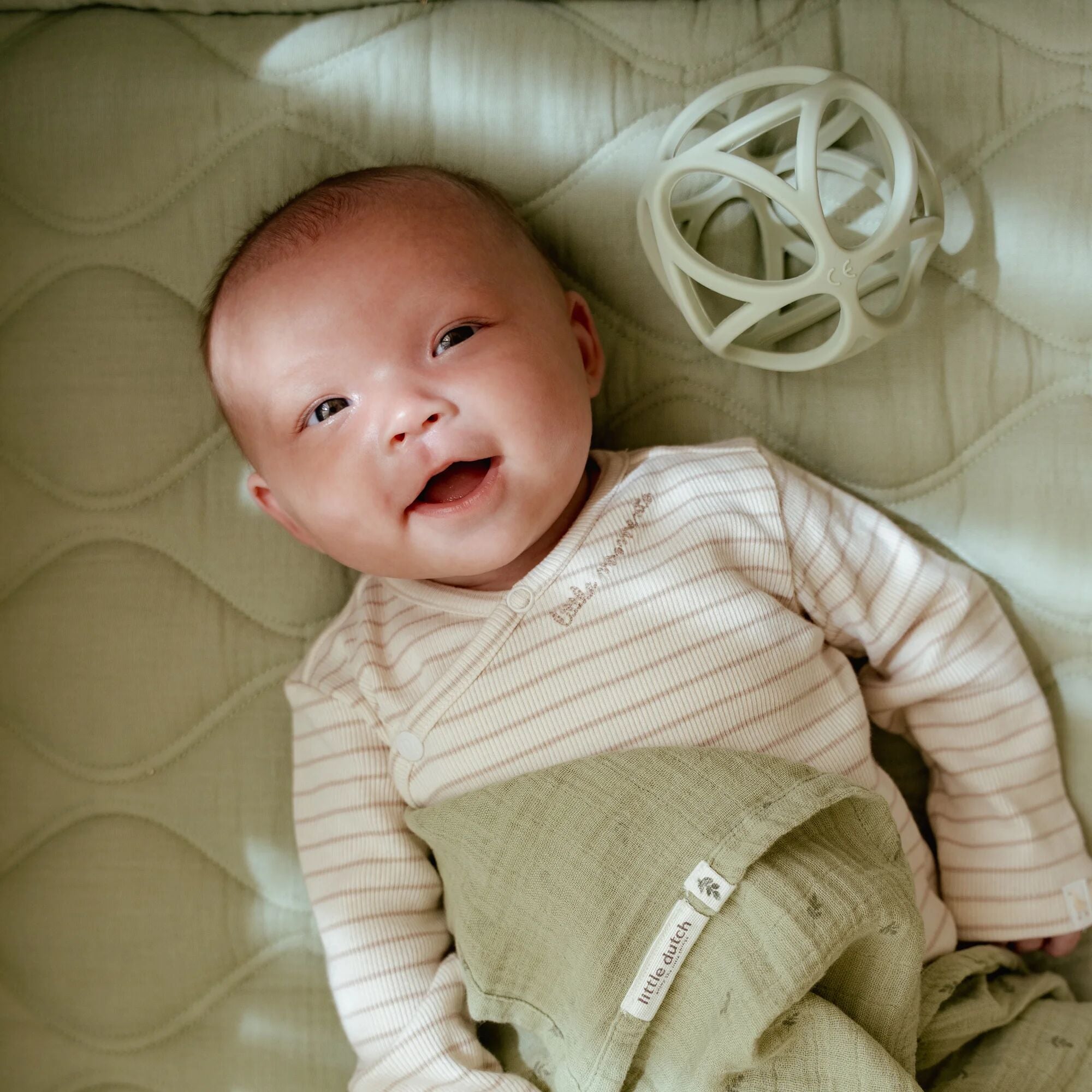 Boxdecke - Grün - Essentials  Boxdecke - Grün - Essentials