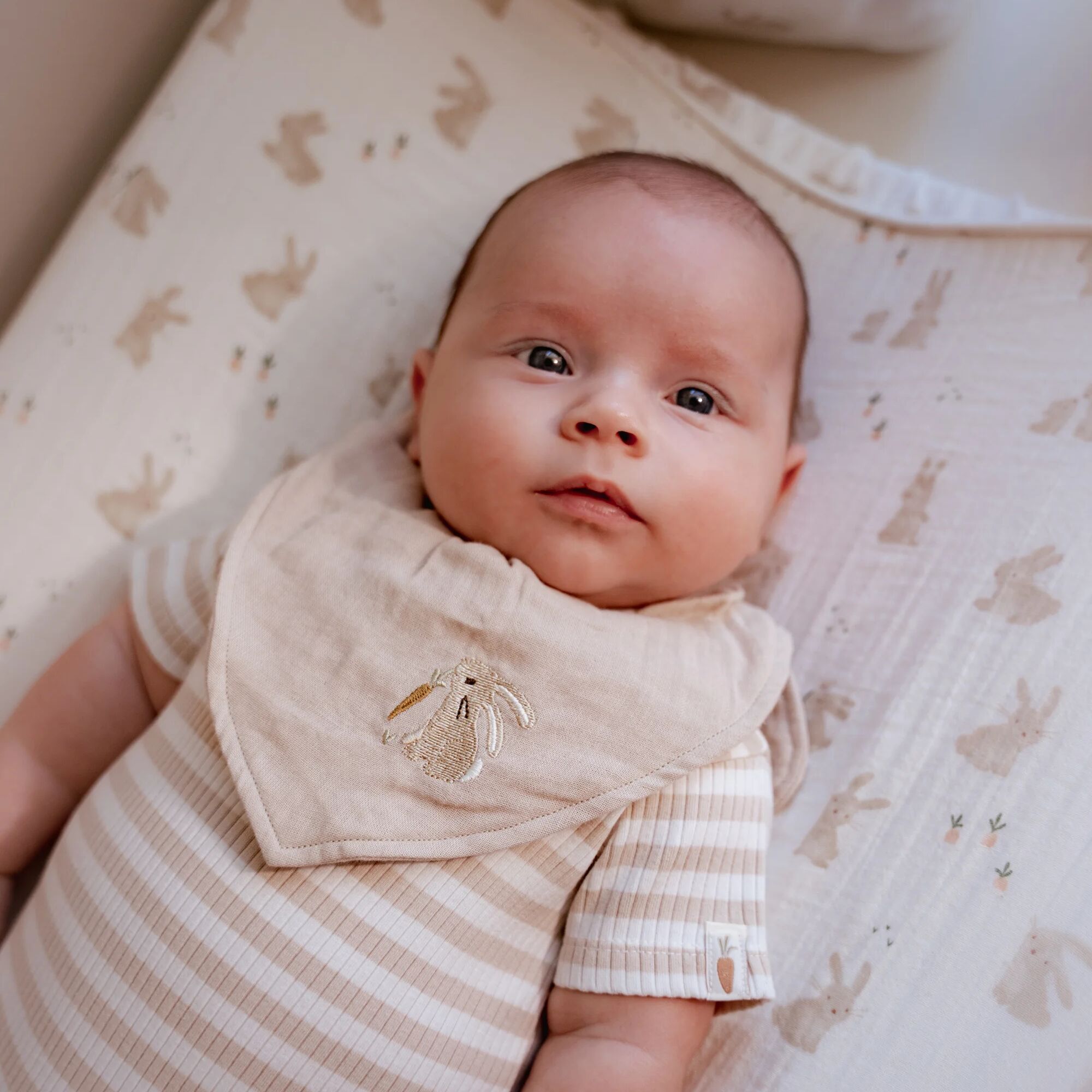 2-pack-bandana-slab-wit-newborn-naturals-baby-bunny 2-pack-bandana-slab-wit-newborn-naturals-baby-bunny