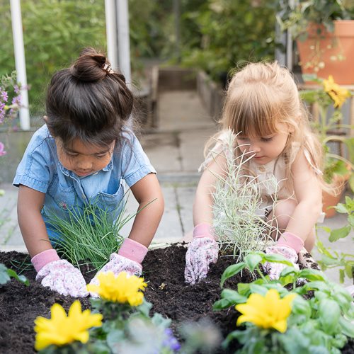 Entdecken Sie die allererste Gartensammlung von Little Dutch!