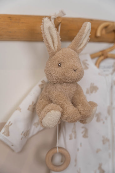 Bébé lapin