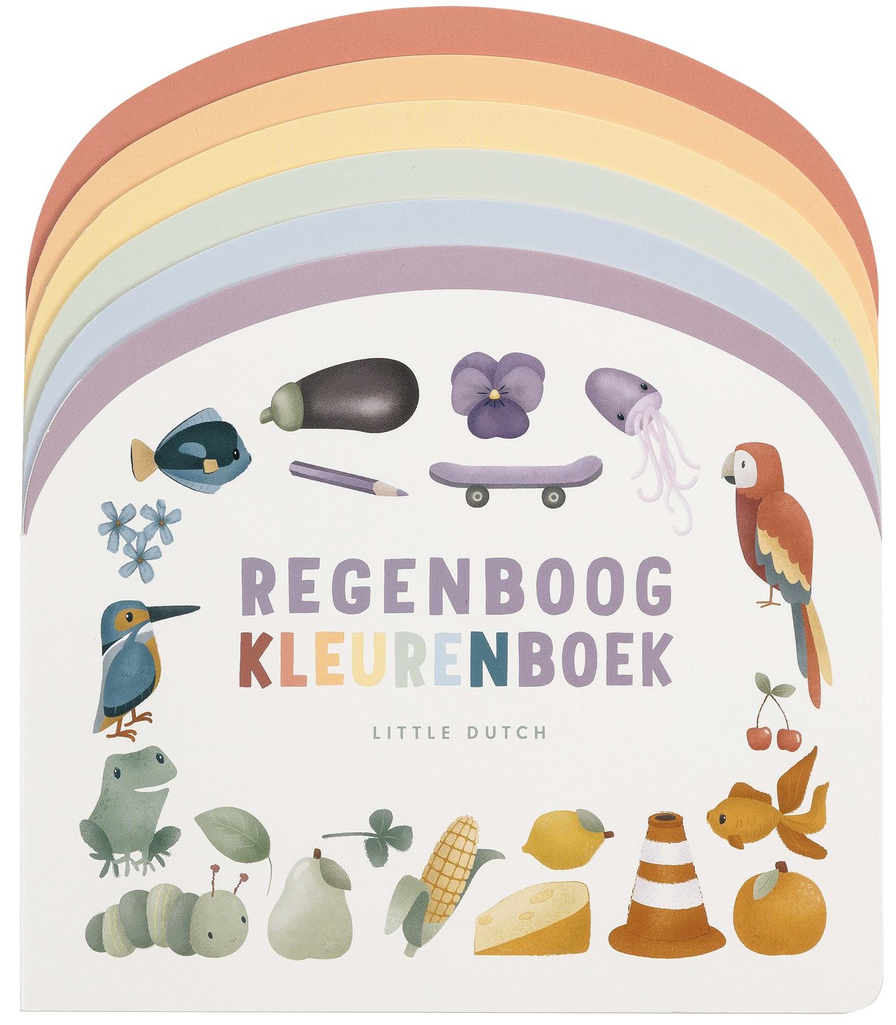 Livre pour enfants Rainbow Color Book