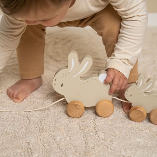 Migratory animal rabbits - Beige