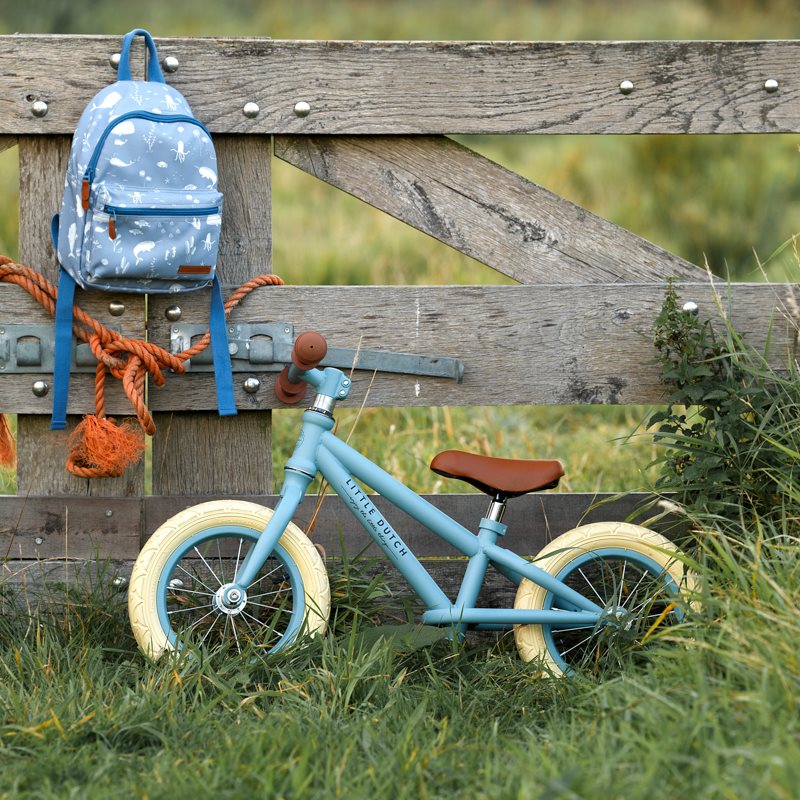 Balance bike matte blue