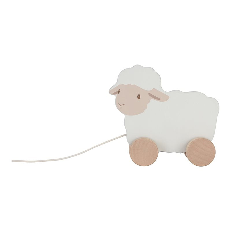 Migrant animal sheep