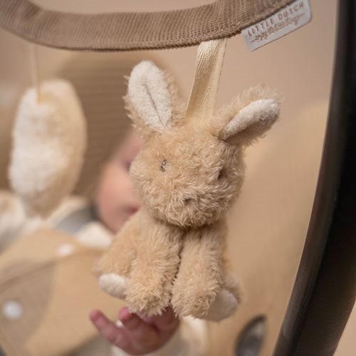 Tentender Wagen - Beige - Baby Bunny