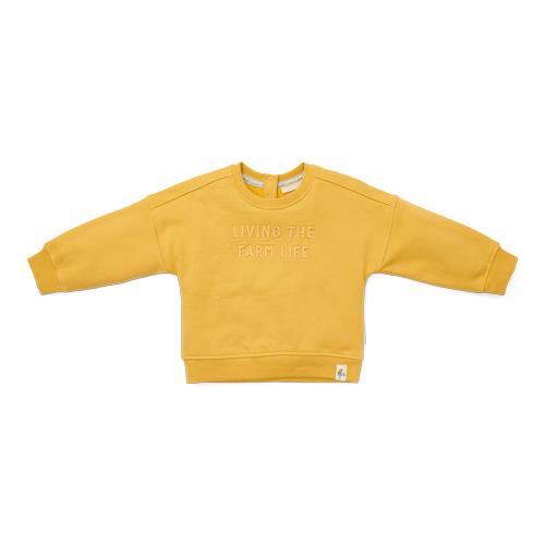 Sweater - Yellow - Little Farm - Print 