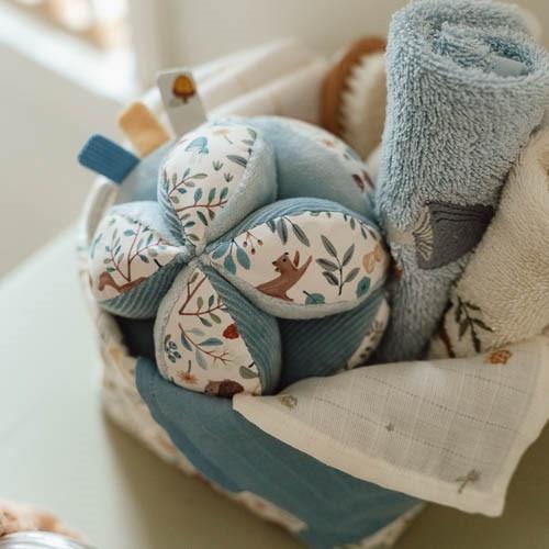 Ensemble de lingettes en bouche - bleu - Forest Friends