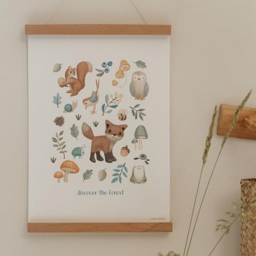 Poster - Size A3 - Forest Friends - Forest Wonders