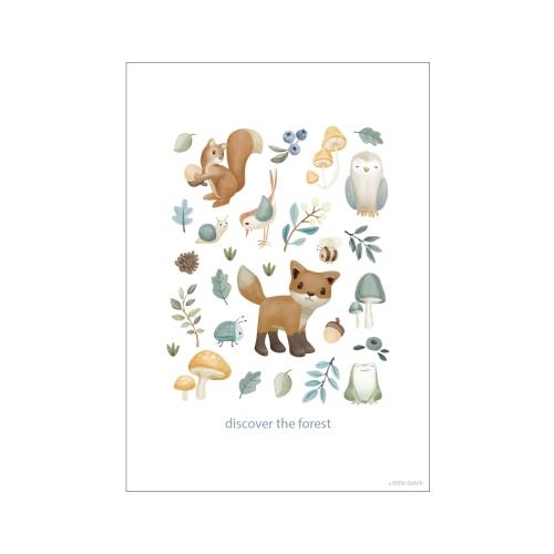 Poster - Size A3 - Forest Friends - Forest Wonders