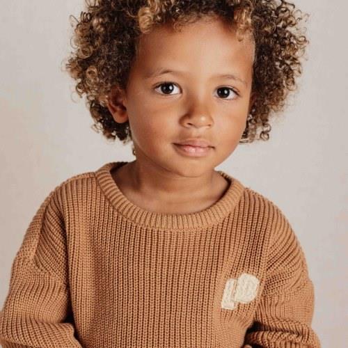 Pull tricoté - Brown - Little Farm - Imprimer