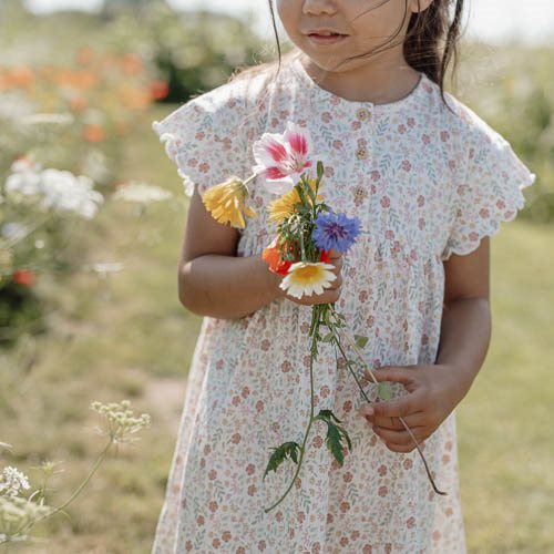 Dress Short Sleeve - White - Fairy Garden