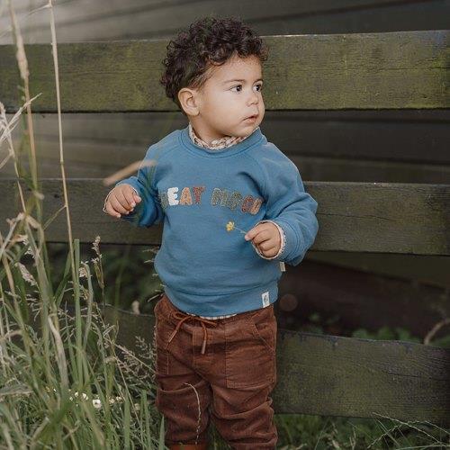 Pull - bleu - Little Farm - Imprimer