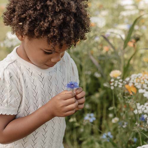 Sweater - White - Fairy Garden