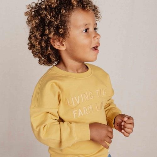 Pull - Jaune - Little Farm - Imprimer