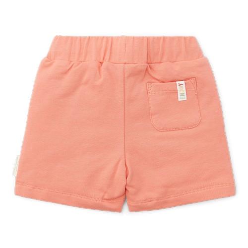 Shorts - Red - Little Farm