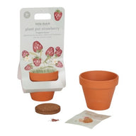 Plant pot - Multicolor - Forest Friends