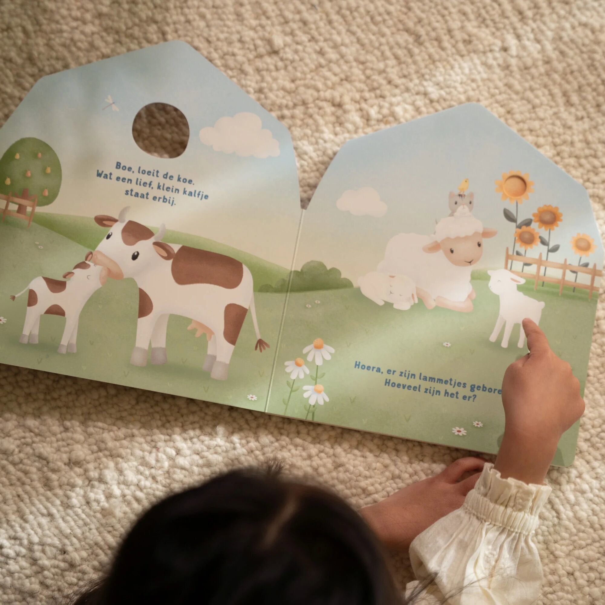 mijn-doorkijkboek-boerderij