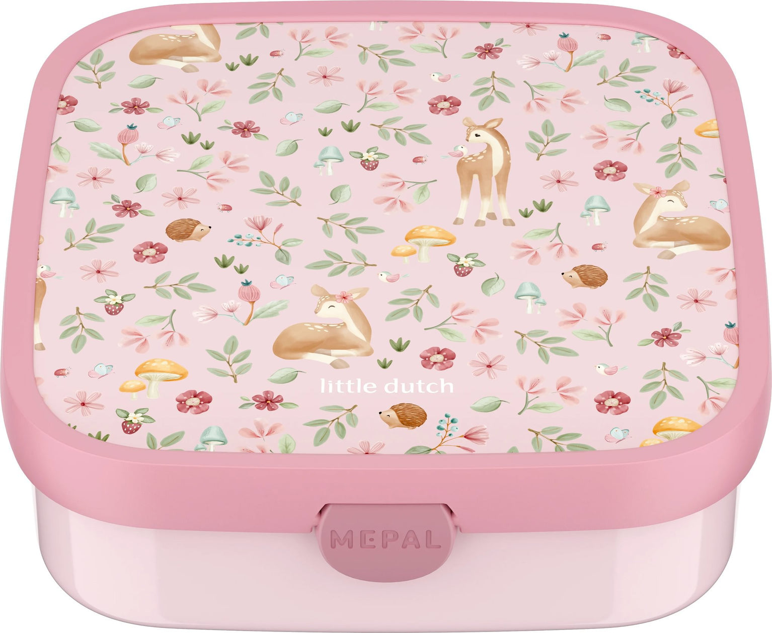 bento-lunchbox-campus-groot-fairy-garden