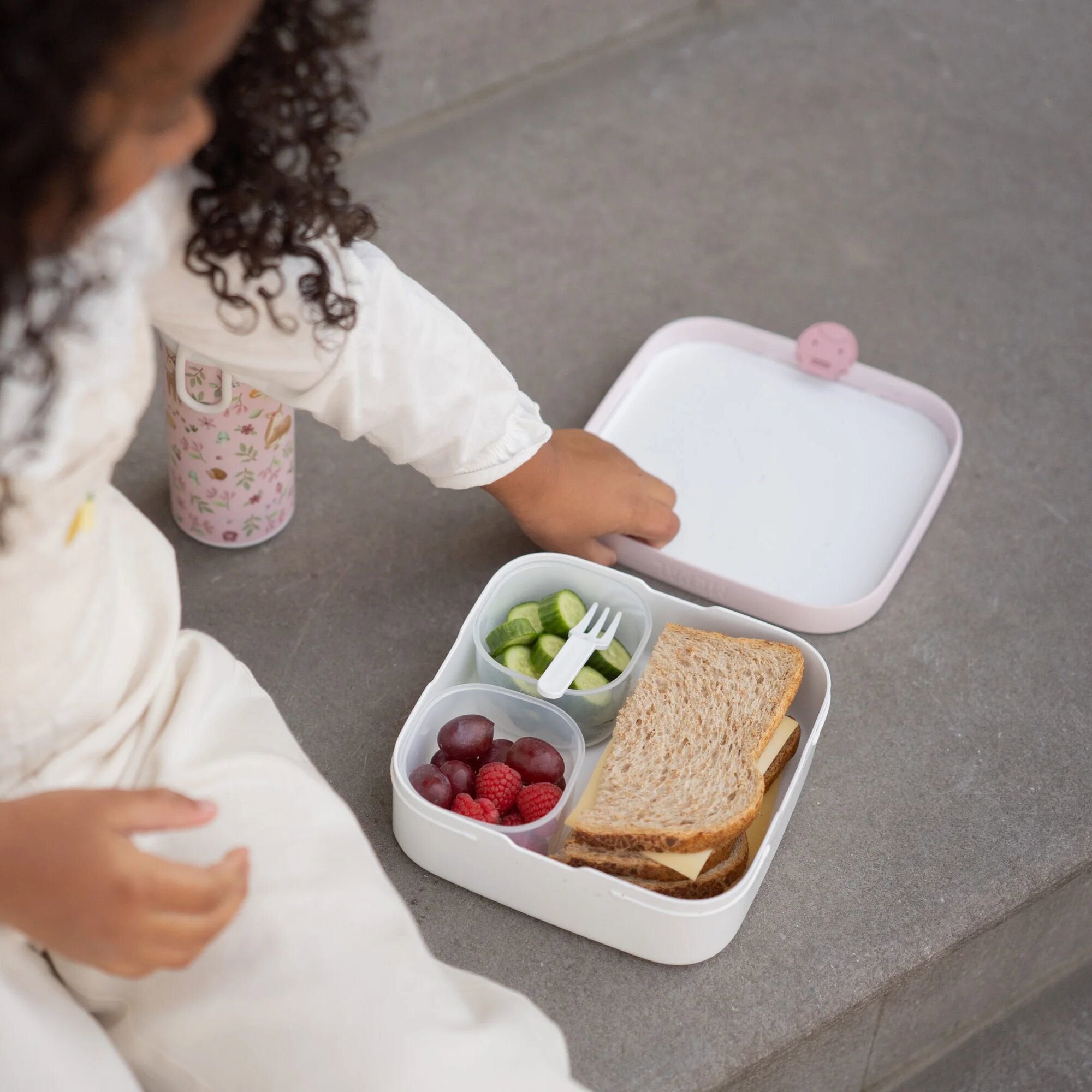 Bento Lunchbox groß Fairy Wonders
