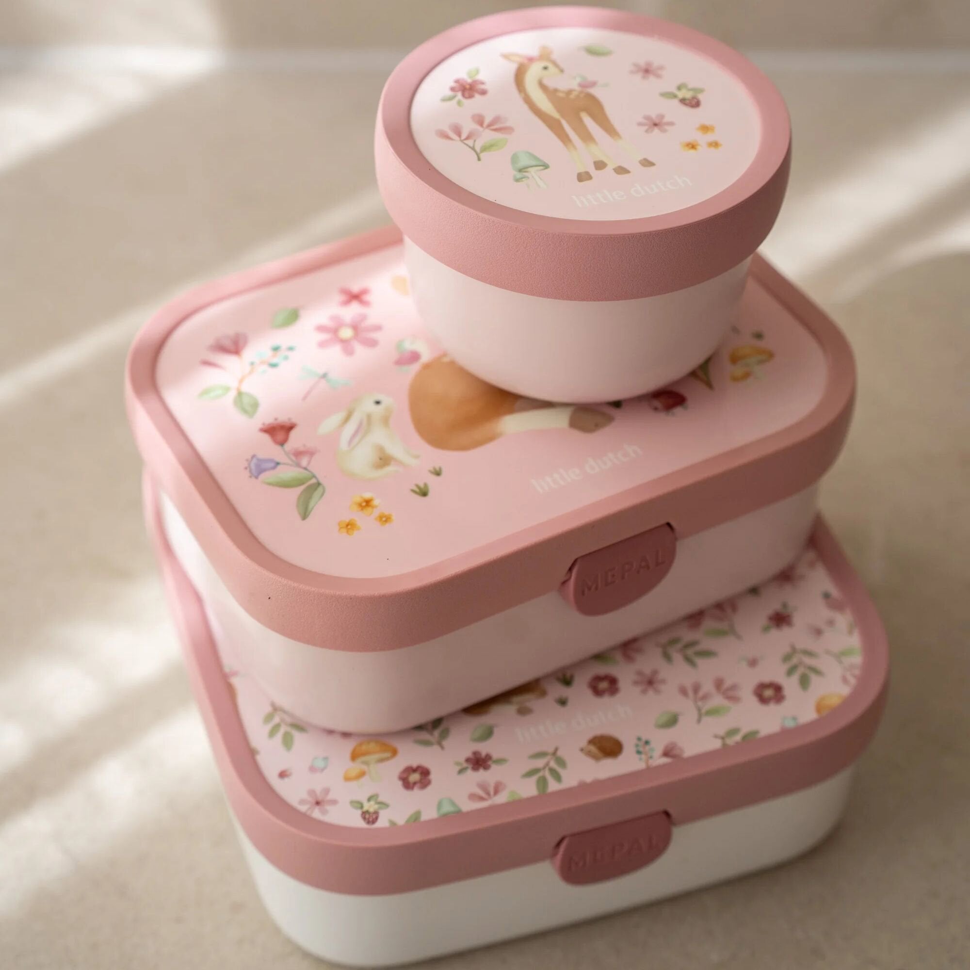 lunchbox-fairy-garden